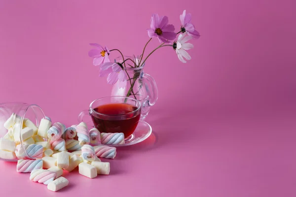 Tea cup with marshmallow — Stock Photo, Image