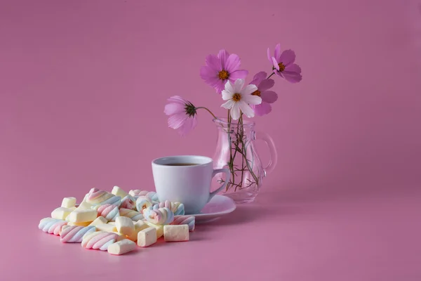 Taza de té con malvavisco de color — Foto de Stock