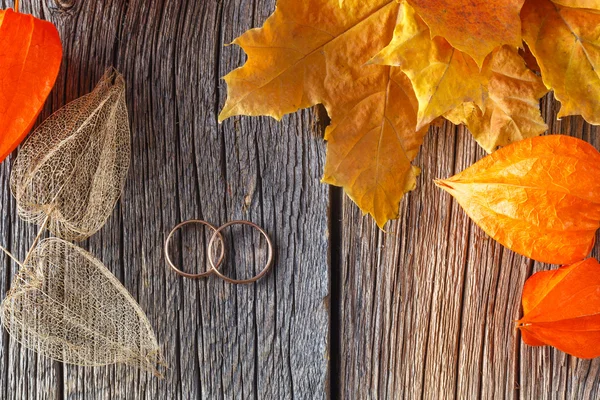 Wedding decoration. Fisalis and leaves — Stock Photo, Image