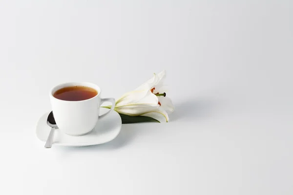 Taza de té mañana — Foto de Stock