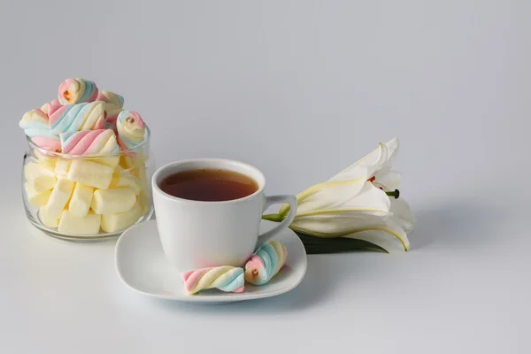 Morgenteetasse mit farbigem Eibisch — Stockfoto