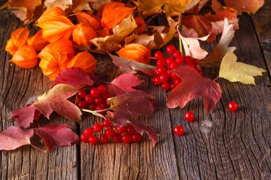 Rustik ahşap arka plan üzerinde hasat sonbahar