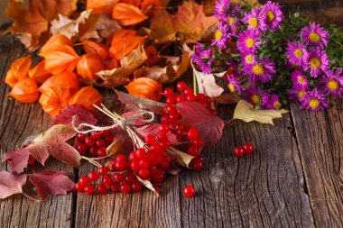 Rustik ahşap arka plan üzerinde hasat sonbahar