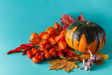 Renkli kabak gölgesiz arka plan