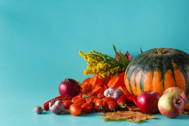 Renkli kabak ve sonbaharda hasat