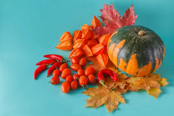 Couleur citrouille fond sans ombre — Photo