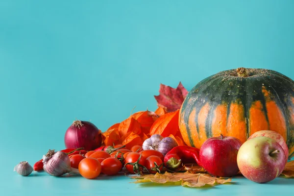 色のかぼちゃと秋の収穫 — ストック写真