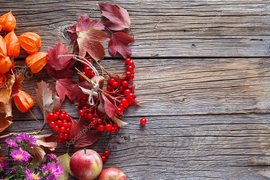 Fall harvesting viburnum and apples on rustic wooden background