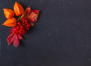 İleti menüsünü siyah arduvaz zemin üzerine kırmızı kartopu