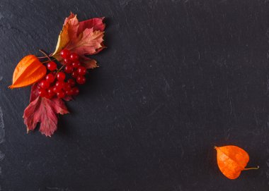 İleti menüsünü siyah arduvaz zemin üzerine kırmızı kartopu