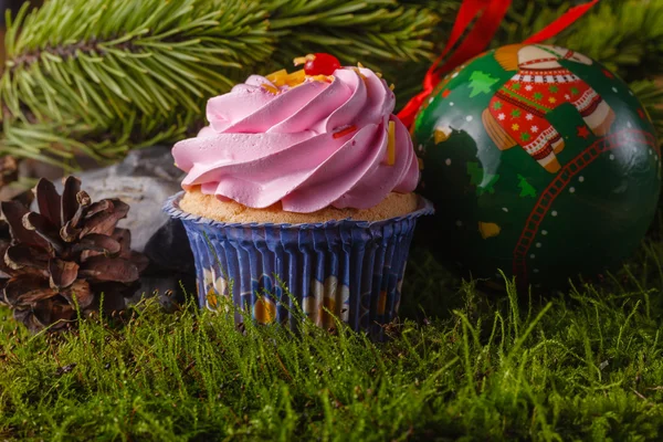 Kiefer mit Zapfen und Dekoration. Weihnachtskonzept — Stockfoto