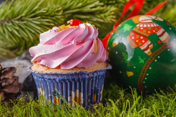 Kiefer mit Zapfen und Dekoration. Weihnachtskonzept — Stockfoto