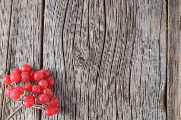 Gefrorene Viburnum-Beere auf rustikalem Holzgrund — Stockfoto