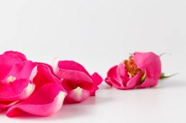 Gül yaprakları ve altın alyans