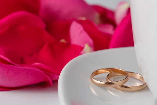 Pétalos de rosa y anillos de boda — Foto de Stock