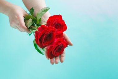 kadın holding üç kırmızı gül