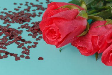 çiçek gül güzel arka plan