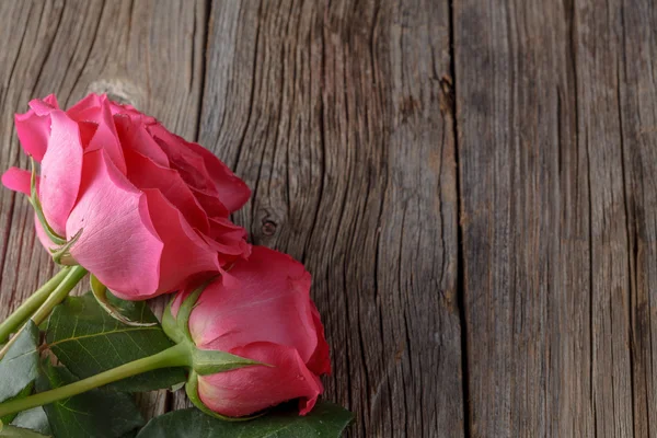 Tres rosas rosadas sobre mesa de madera — Foto de Stock