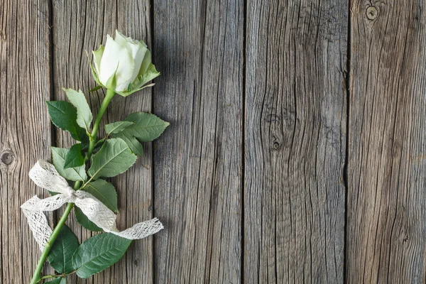 Rosa bianca su fondo legno — Foto Stock