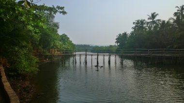 Бамбуковый мост в Индии