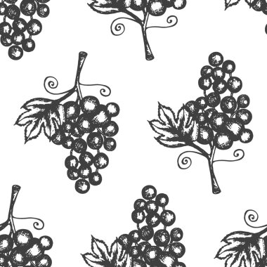 el çizilmiş illüstrasyon, üzüm dikişsiz desen