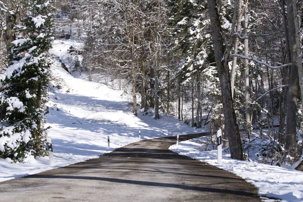 Countryside road in the woods at springtime with last snow. Photo taken April 8th, 2021, Hinwil, Switzerland.