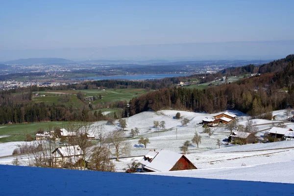 Zürih Gölü Kar Kaplı Arka Planda Sviçre Alpleri Olan Panoramik — Stok fotoğraf