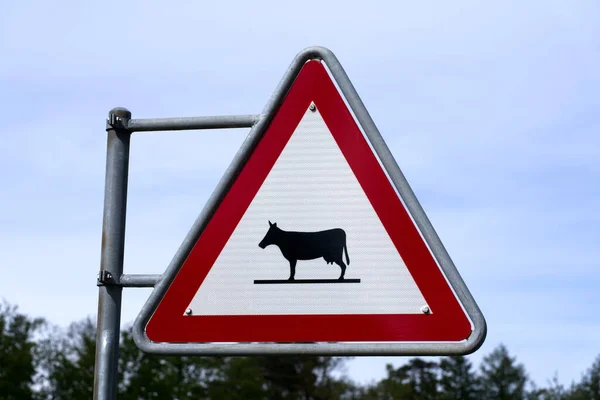 Traffic sign watch out for cattle. Photo taken May 18th, 2021, Zurich, Switzerland.