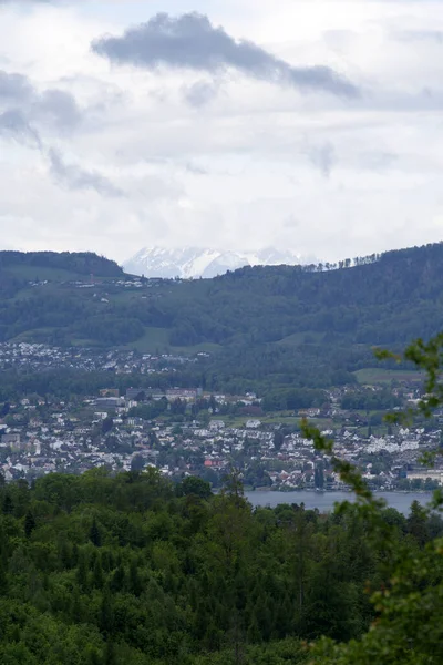 View Zurich Witikon City Lake Zurich Swiss Alps Photo Taken — Stock Photo, Image