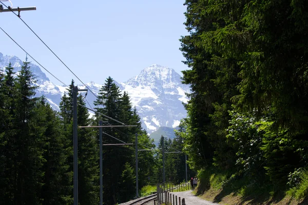 Railroad tracks in the mountains between mountain village Mrren and Winteregg on a sunny summer day. Photo taken July 20th, 2021, Lauterbrunnen, Switzerland.