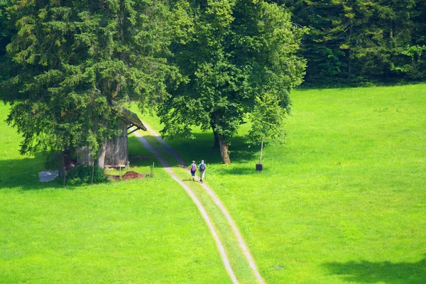 Aerial view of hiking trail and elderly hiker couple on a sunny summer day. Photo taken July 23rd, 2021, Alpnach, Switzerland.