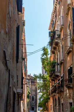 Tarihi Binalarla Dar Venedik Geçidi. Venedik 'te yaşlanmış cepheleri, asılmış kabloları, balkonları ve berrak mavi gökyüzünün altında yemyeşil bir yeri olan büyüleyici dar bir sokak.