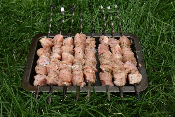 Preparing for a hearty dinner. Skewers of turkey meat 2. — Stock Photo, Image