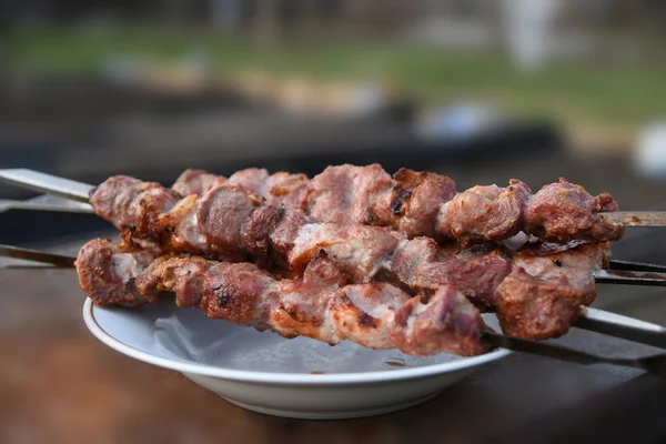Sappig varkensvlees kebab op een plaat. — Stockfoto
