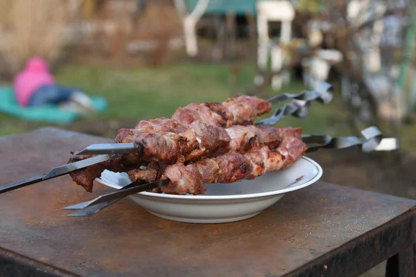 多汁猪肉串在盘子上2 — 图库照片