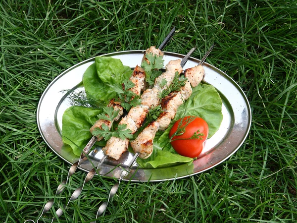 Shashlik succoso con erbe piccanti 4 . — Foto Stock