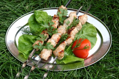 Baharatlı otlar 2 ile sulu kebab.