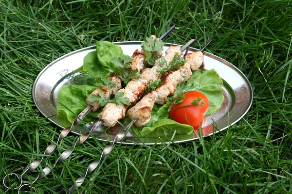 Saftiga shashlik med kryddiga örter 3. — Stockfoto