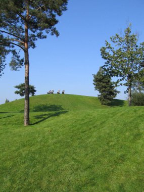 Kırpılmış çimenleri ve yalnız bir çam ağacı olan yeşil bir tepe..