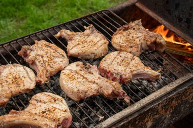 Izgarada domuz rostosu..