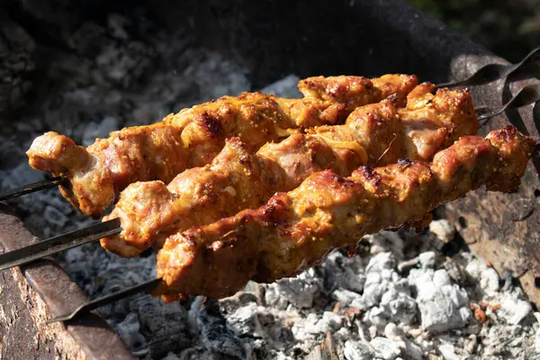 Sappig Gegrild Varkensvlees Gegrild Kolen Een Ijzeren Grill — Stockfoto