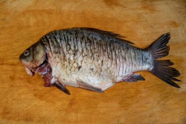 Kesme tahtasındaki soyulmuş sazan balığı..