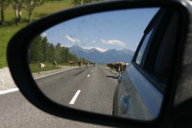 Arabanın dikiz aynası yansıması.