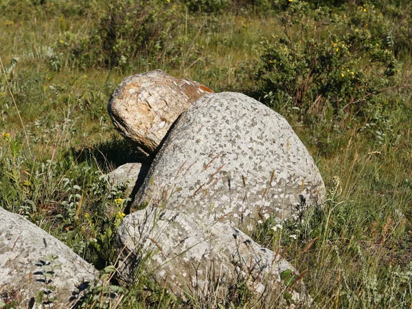 Stenen schildpad. — Stockfoto