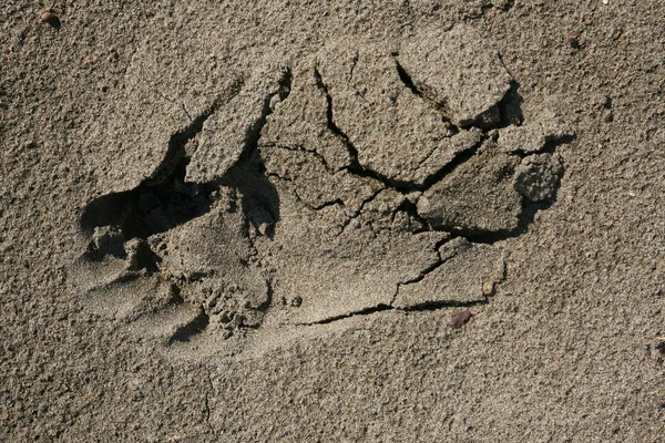 Sand. Hintergrund 2. — Stockfoto