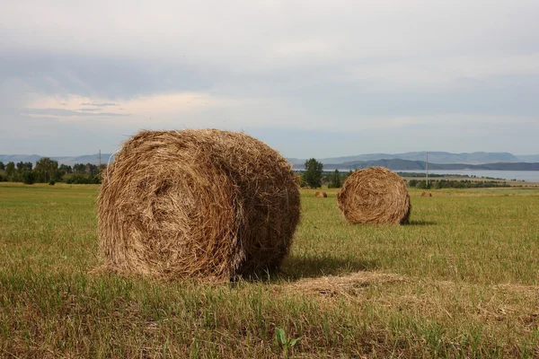 干し草の俵を収穫. — ストック写真