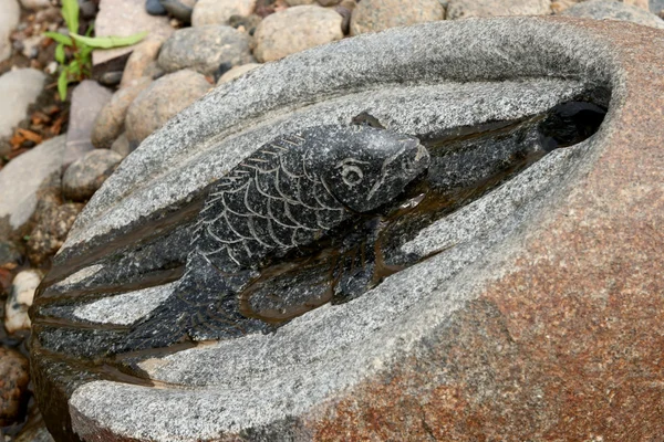 Fontana di pesce di pietra . — Foto Stock