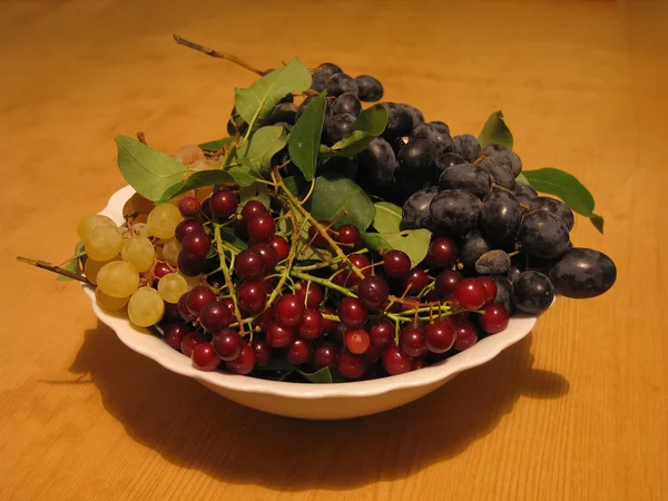 Um prato de uvas e cerejas vermelhas — Fotografia de Stock