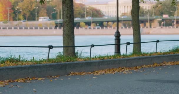 Paysage d'automne du remblai de la rivière Neva. Saint-Pétersbourg 2020. — Video