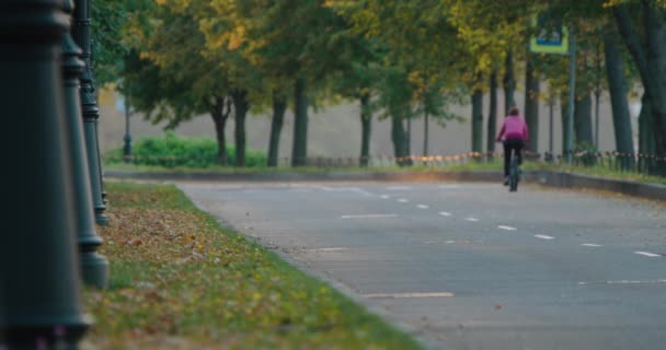 Fallna löv på gränd blåst av vind i höstparken, gula löv på vägen — Stockvideo